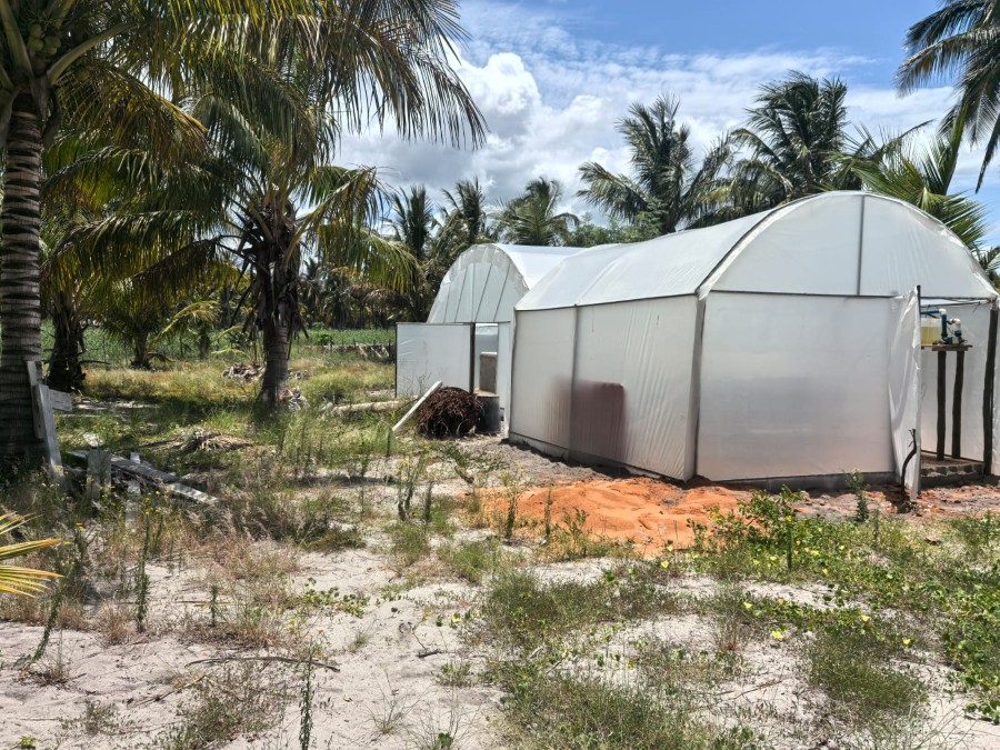 Hatchery greenhouses