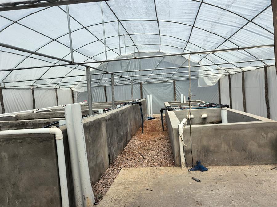 Hatchery tanks